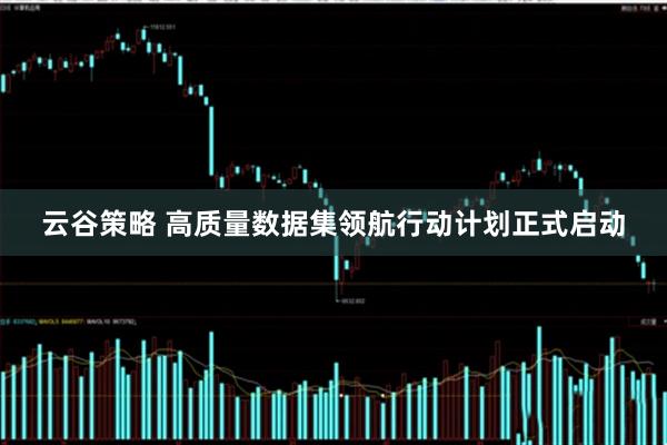 云谷策略 高质量数据集领航行动计划正式启动