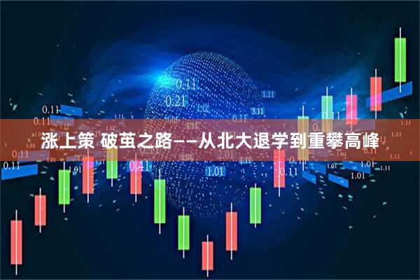 涨上策 破茧之路——从北大退学到重攀高峰