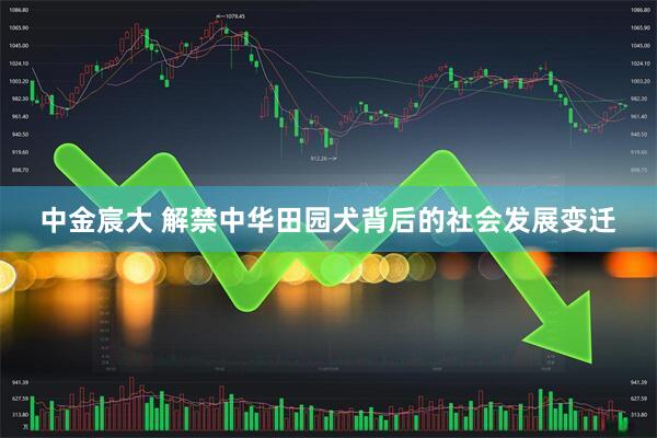 中金宸大 解禁中华田园犬背后的社会发展变迁