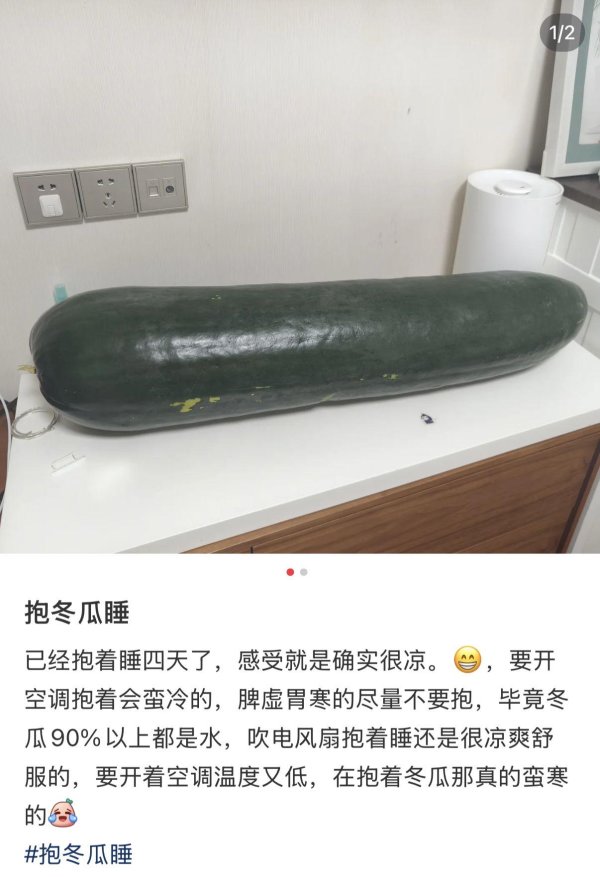 熊猫配资 新闻多一度 | “抱冬瓜睡觉”能降温？医生提示：并非人人适用