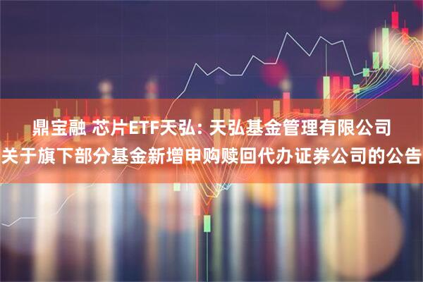 鼎宝融 芯片ETF天弘: 天弘基金管理有限公司关于旗下部分基金新增申购赎回代办证券公司的公告