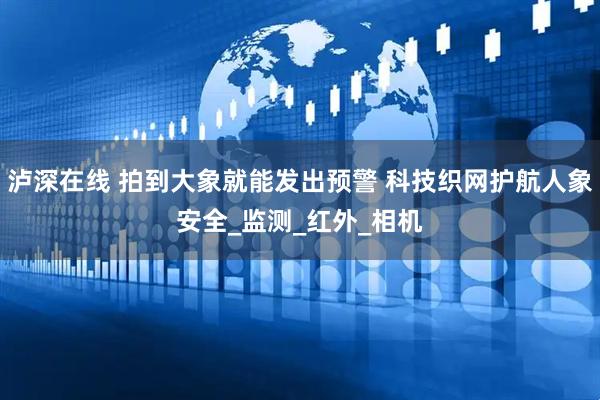 泸深在线 拍到大象就能发出预警 科技织网护航人象安全_监测_红外_相机