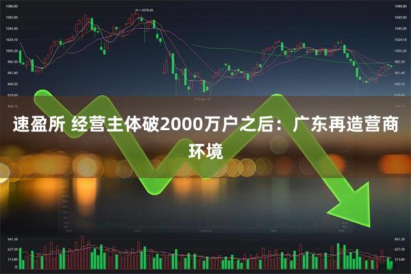 速盈所 经营主体破2000万户之后：广东再造营商环境