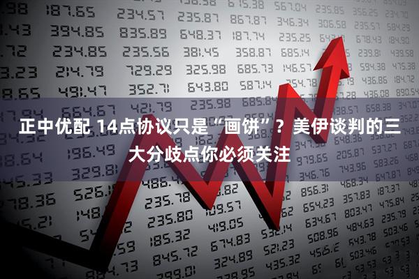 正中优配 14点协议只是“画饼”?美伊谈判的三大分歧点你必须关注